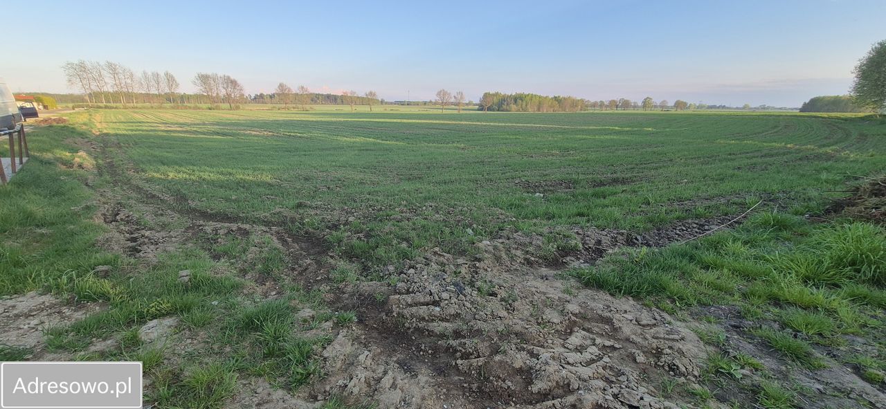 Działka rolno-budowlana Wielichowo. Zdjęcie 5