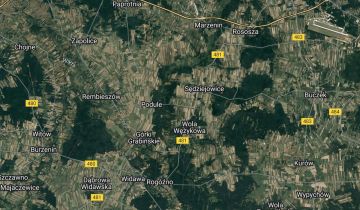 Działka leśna Nowe Kozuby