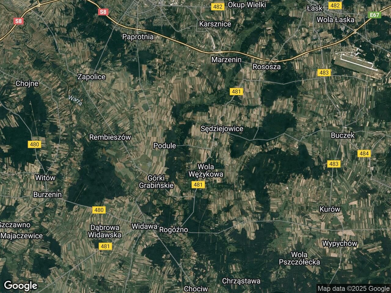 Działka leśna Nowe Kozuby