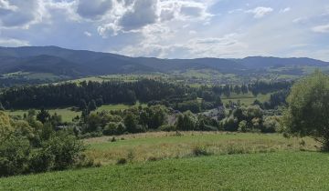 Działka rolna Lubomierz