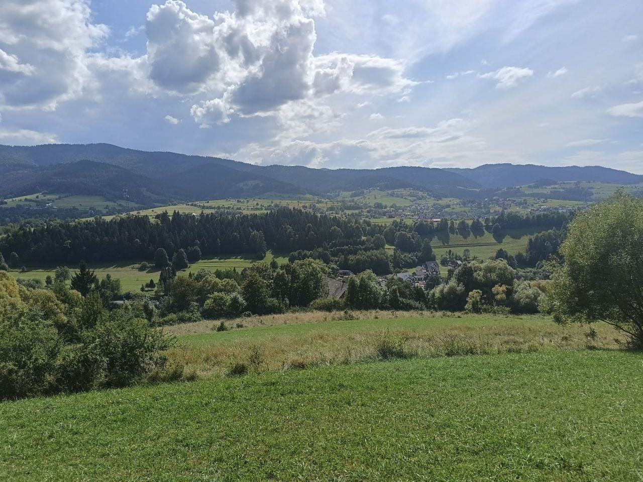 Działka rolna Lubomierz. Zdjęcie 2