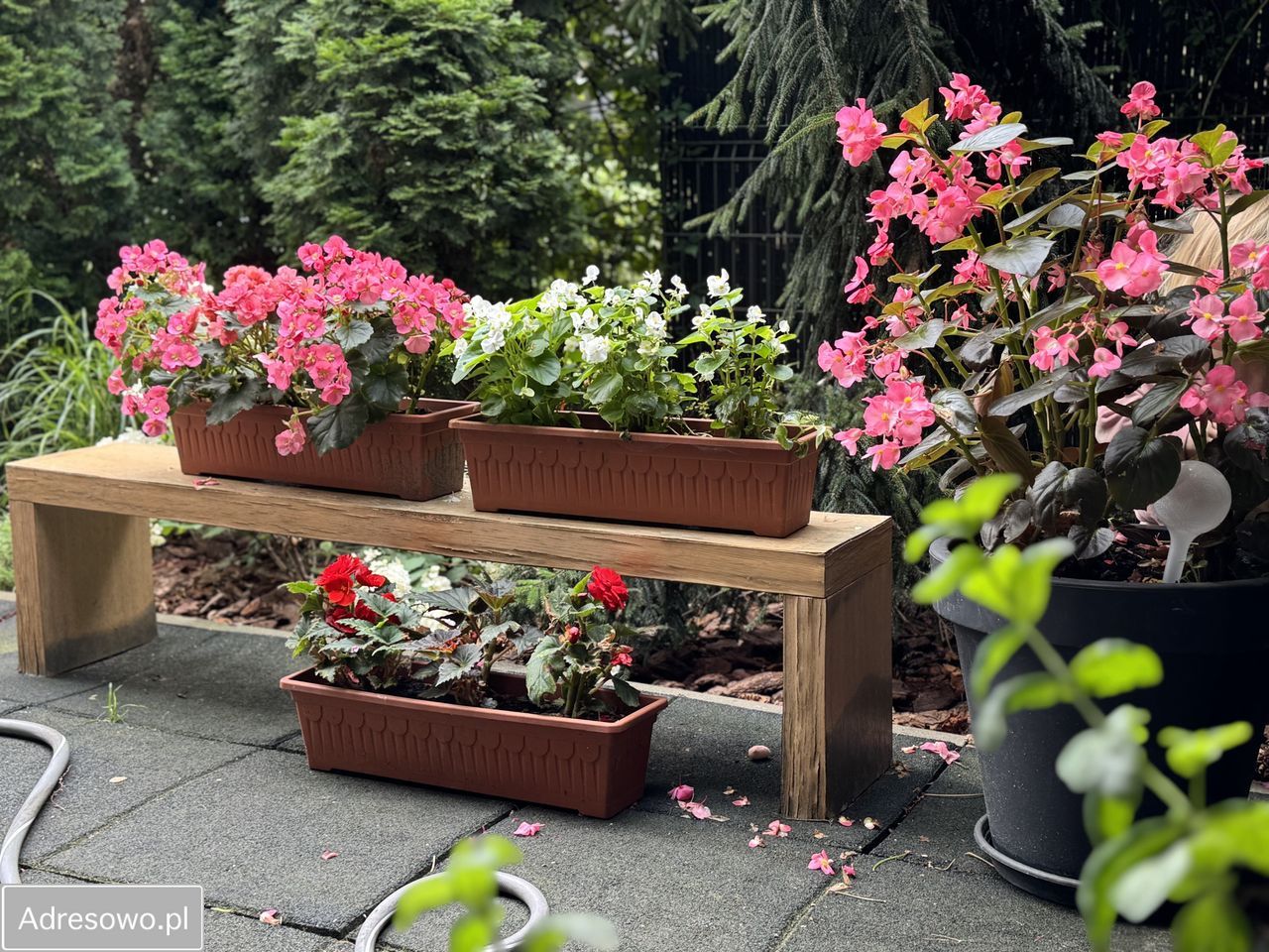 Mieszkanie 3-pokojowe Warszawa Wilanów, ul. Księdza Prymasa Augusta Hlonda. Zdjęcie 8