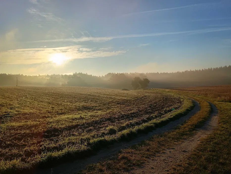 Działka budowlana Drwęck. Zdjęcie 7