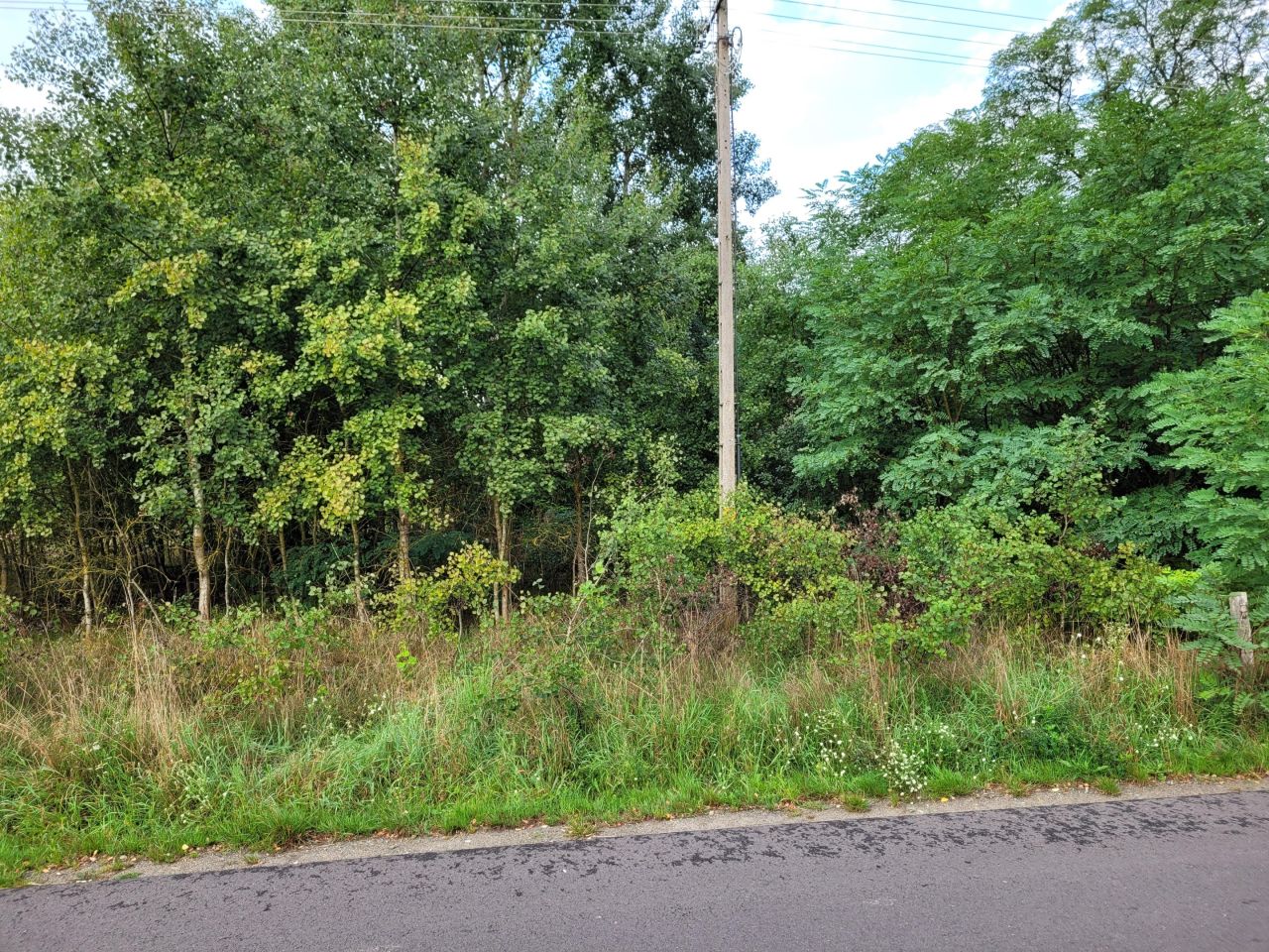 Działka budowlana Przekora, Tarnowa 2. Zdjęcie 4