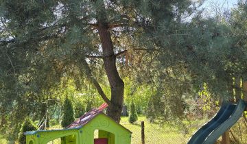 Działka rod Września Centrum, ul. Jana Matejki