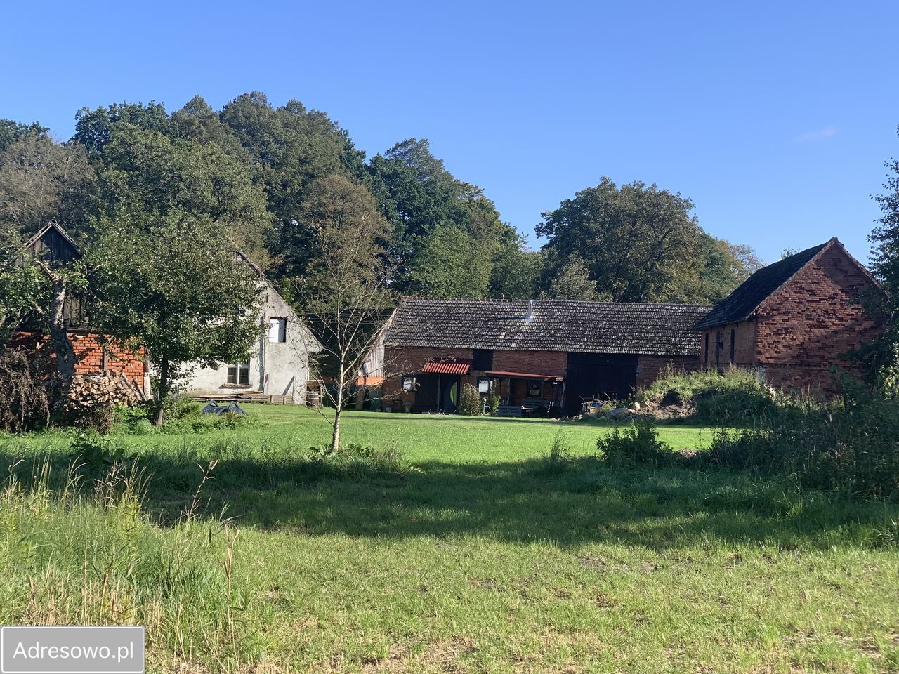 Działka siedliskowa Stary Kraków. Zdjęcie 17