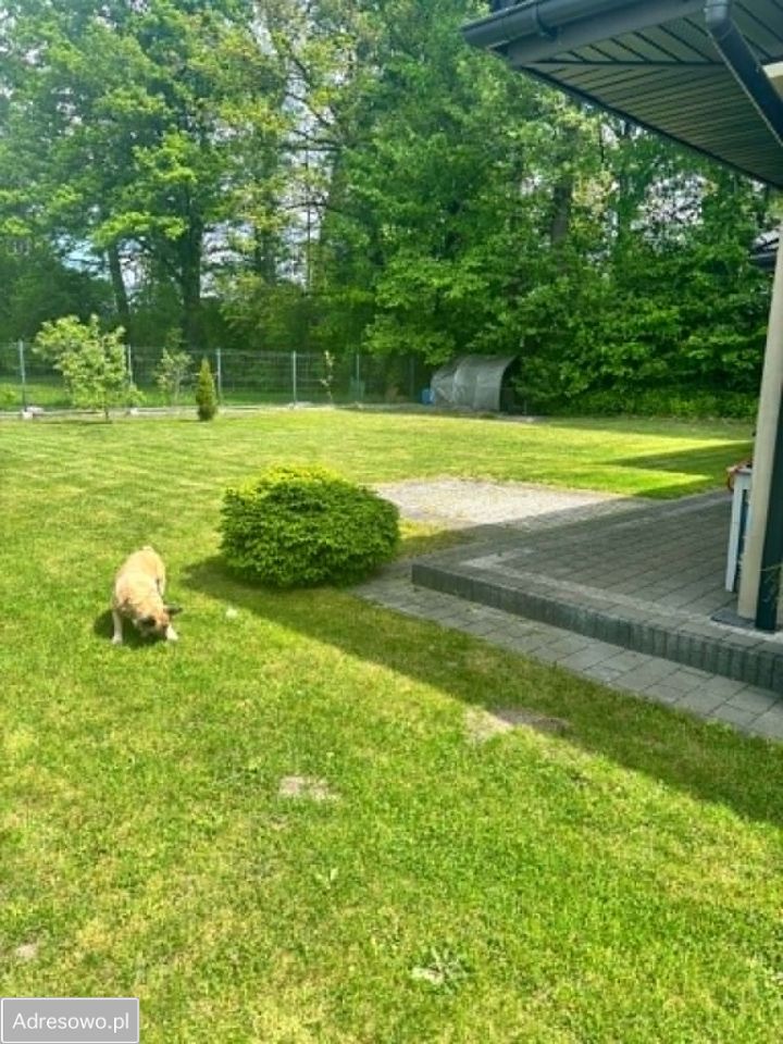 dom wolnostojący, 6 pokoi Łódź Bałuty, ul. Rojna. Zdjęcie 8