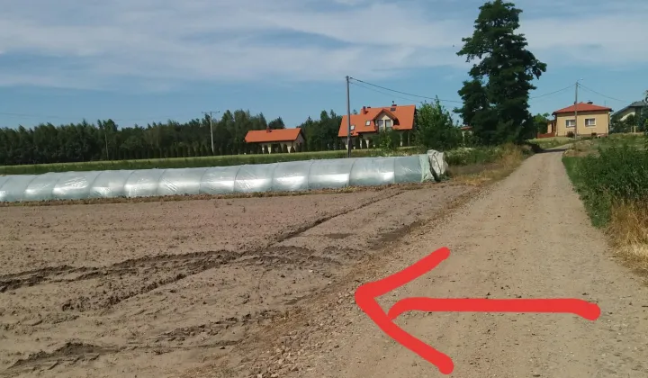 Działka rolna Piątek, ul. Polna