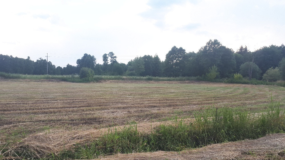 Działka rolno-budowlana Ostrykół Dworski. Zdjęcie 2