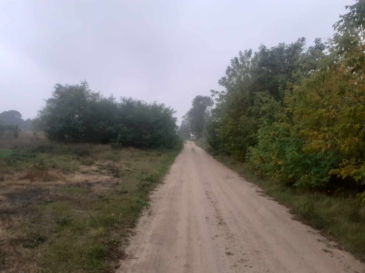 Działka budowlana Dąbrowica-Kolonia. Zdjęcie 3