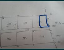 Działka rolno-budowlana Zakrzew. Zdjęcie 3