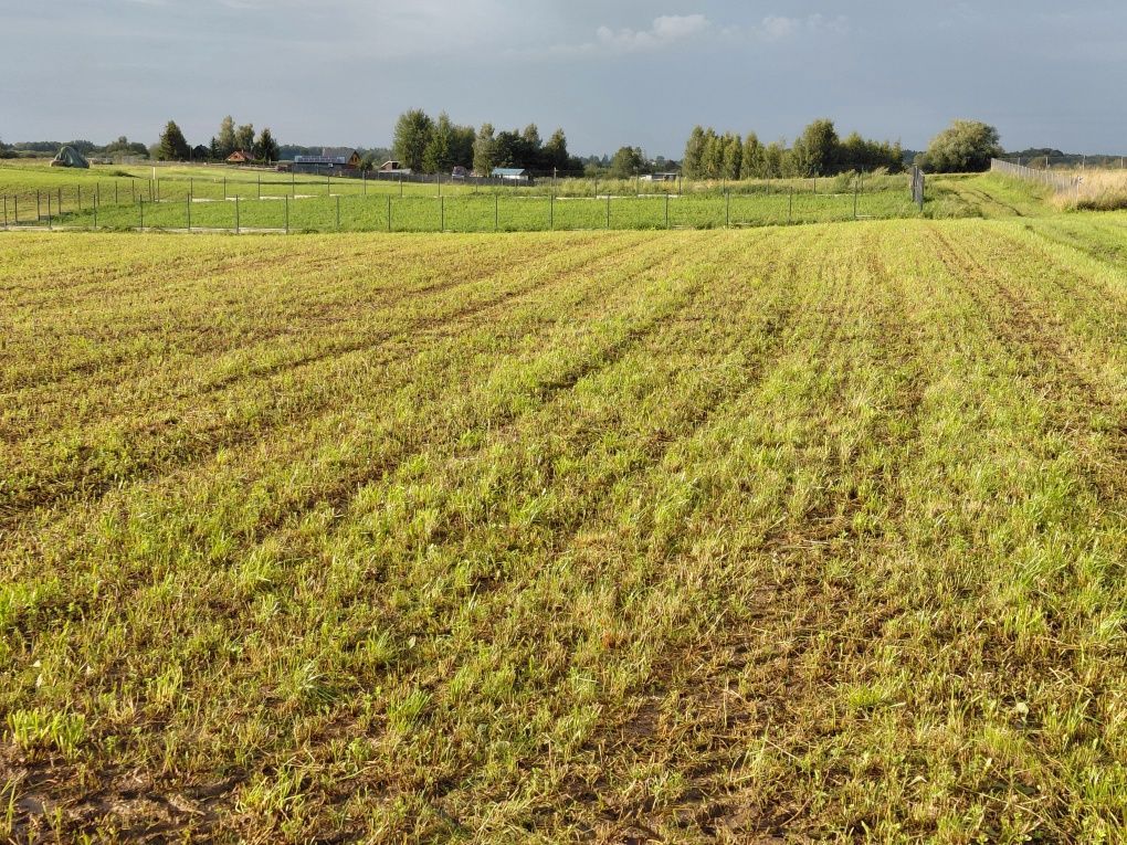 Działka rolna Górkło. Zdjęcie 5
