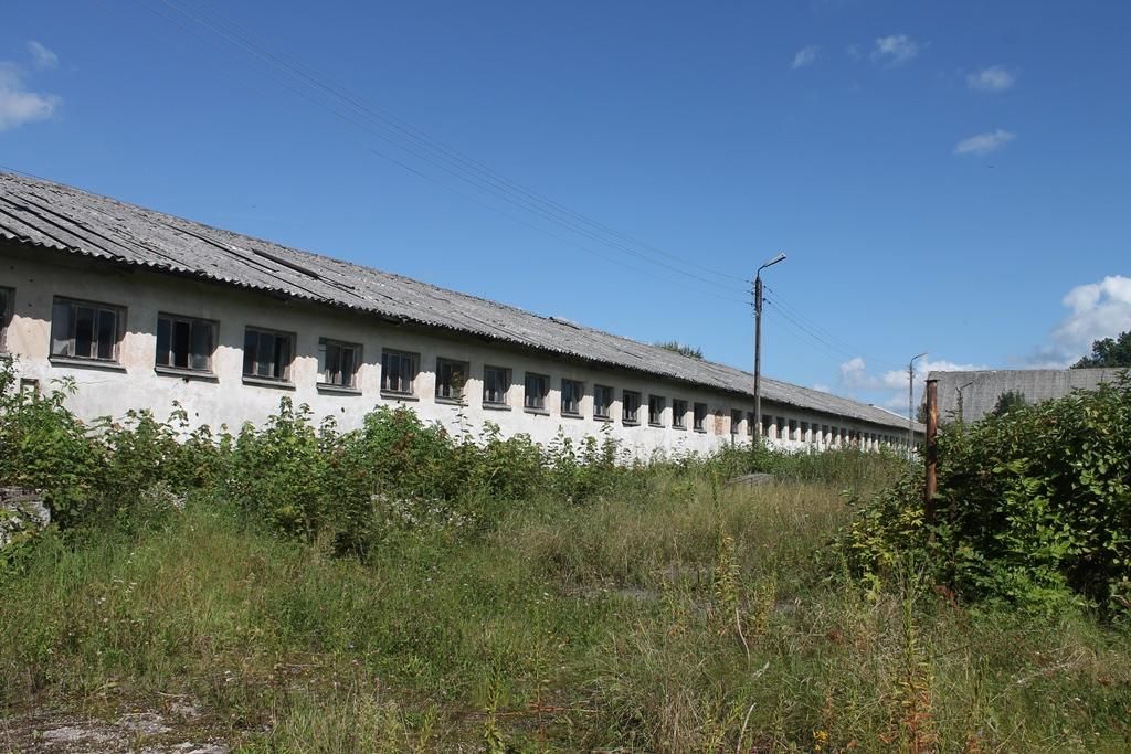 Hala/magazyn Dobino. Zdjęcie 5