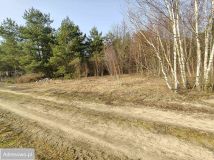 Działka rolno-budowlana Zasonie. Zdjęcie 1