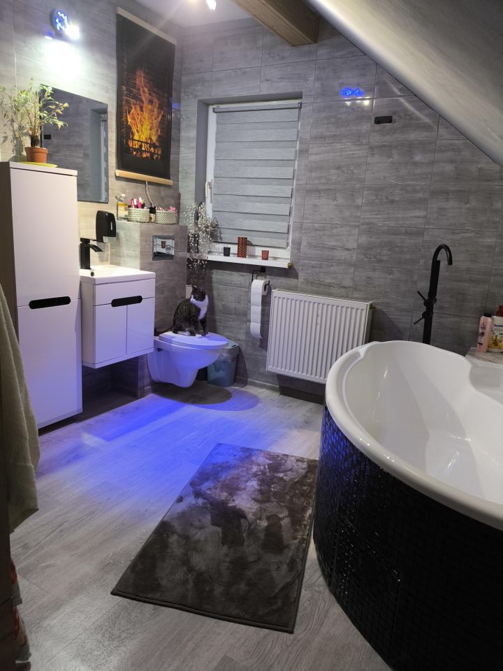 dom wolnostojący, 5 pokoi Goszczanowo. Zdjęcie 46