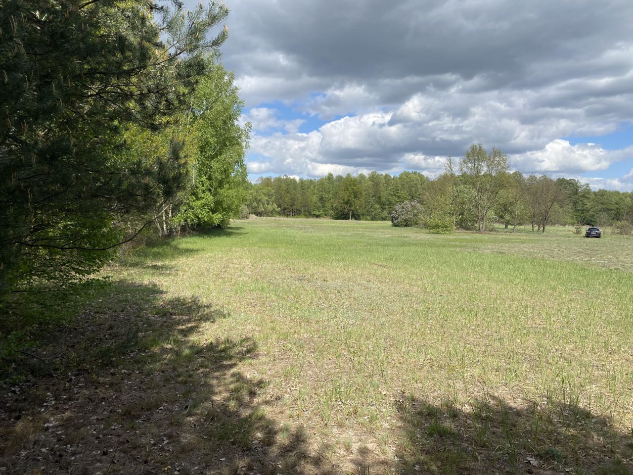 Działka siedliskowa Radziwiłka. Zdjęcie 2