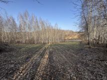 Działka rolna Płouszowice. Zdjęcie 1