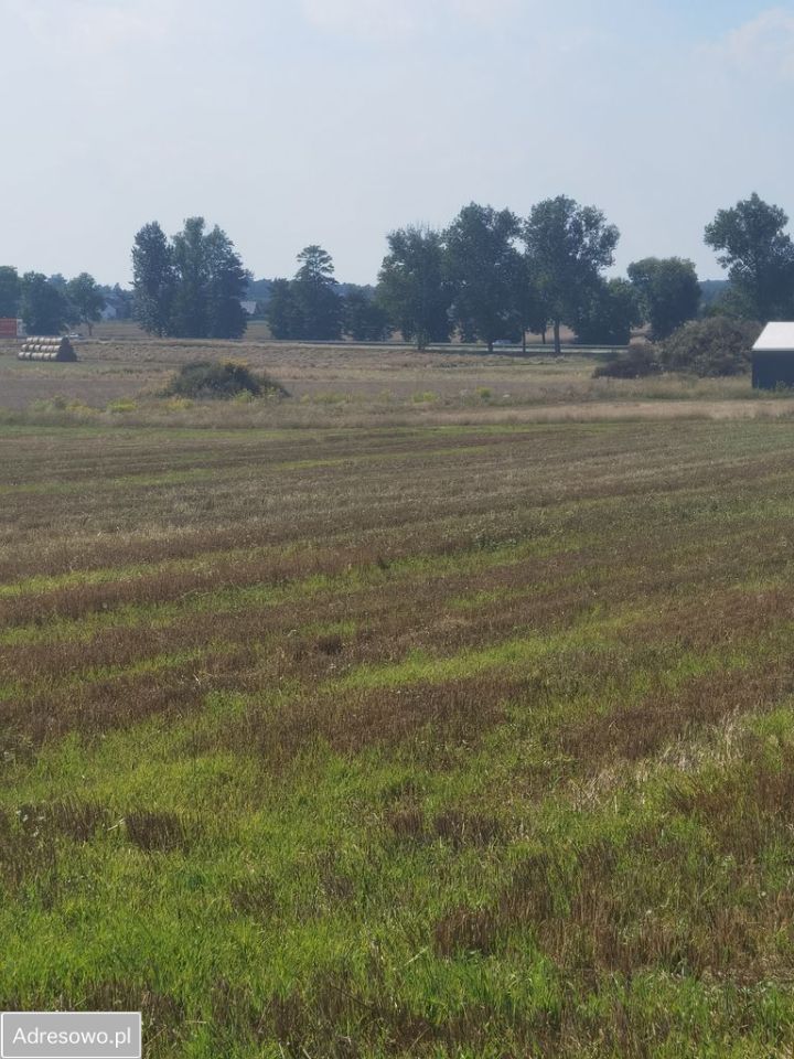 Działka inwestycyjna Orzesze, ul. Modrzewiowa. Zdjęcie 4