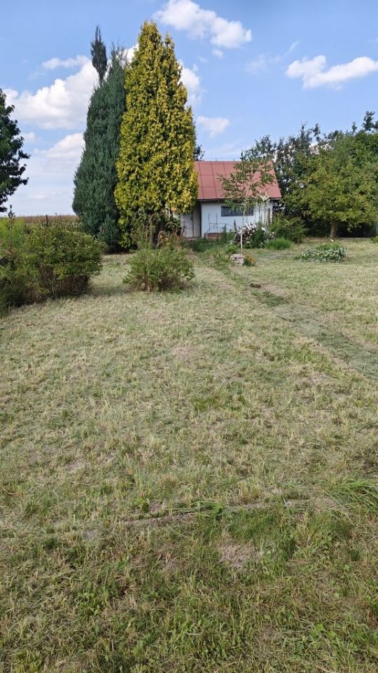 Działka rod Iłża. Zdjęcie 7