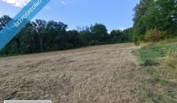 Działka budowlana Tyczyn Mokra Strona