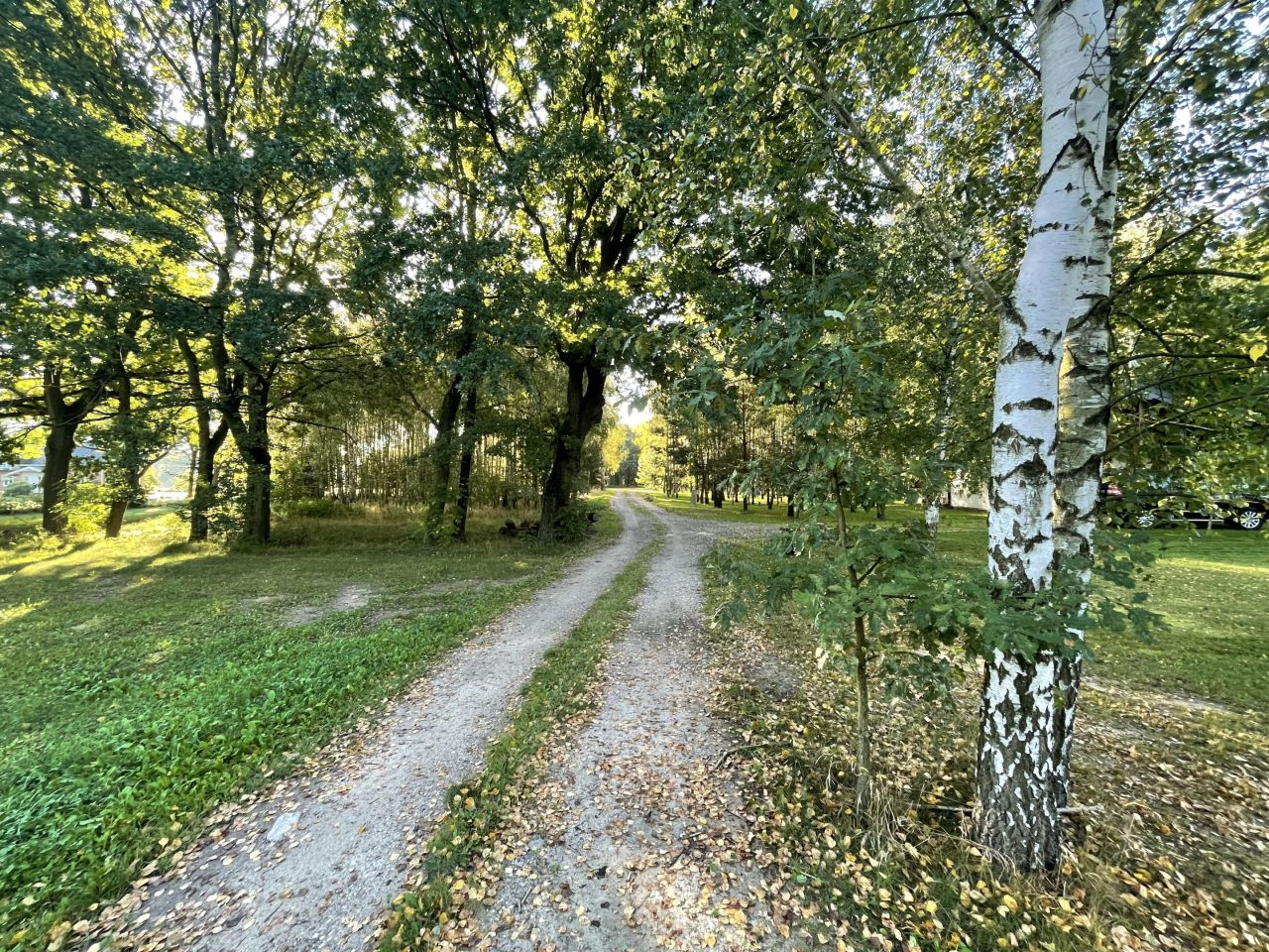 Działka budowlana Sadek, ul. Jesionowa. Zdjęcie 13