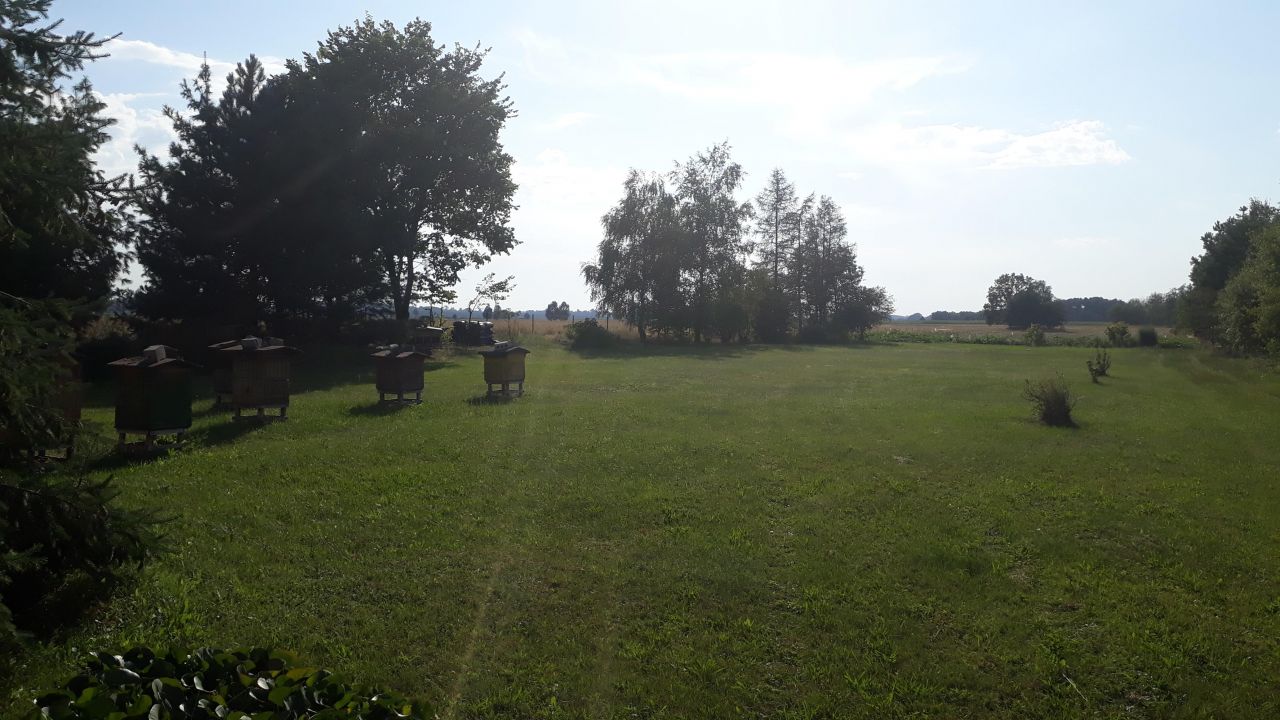 Działka siedliskowa Tarkowo Dolne. Zdjęcie 5