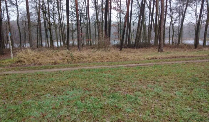 Działka siedliskowa Ciszkowo