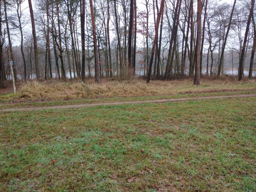 Działka siedliskowa Ciszkowo. Zdjęcie 1