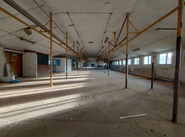 Działka budowlana Brańszczyk. Zdjęcie 14