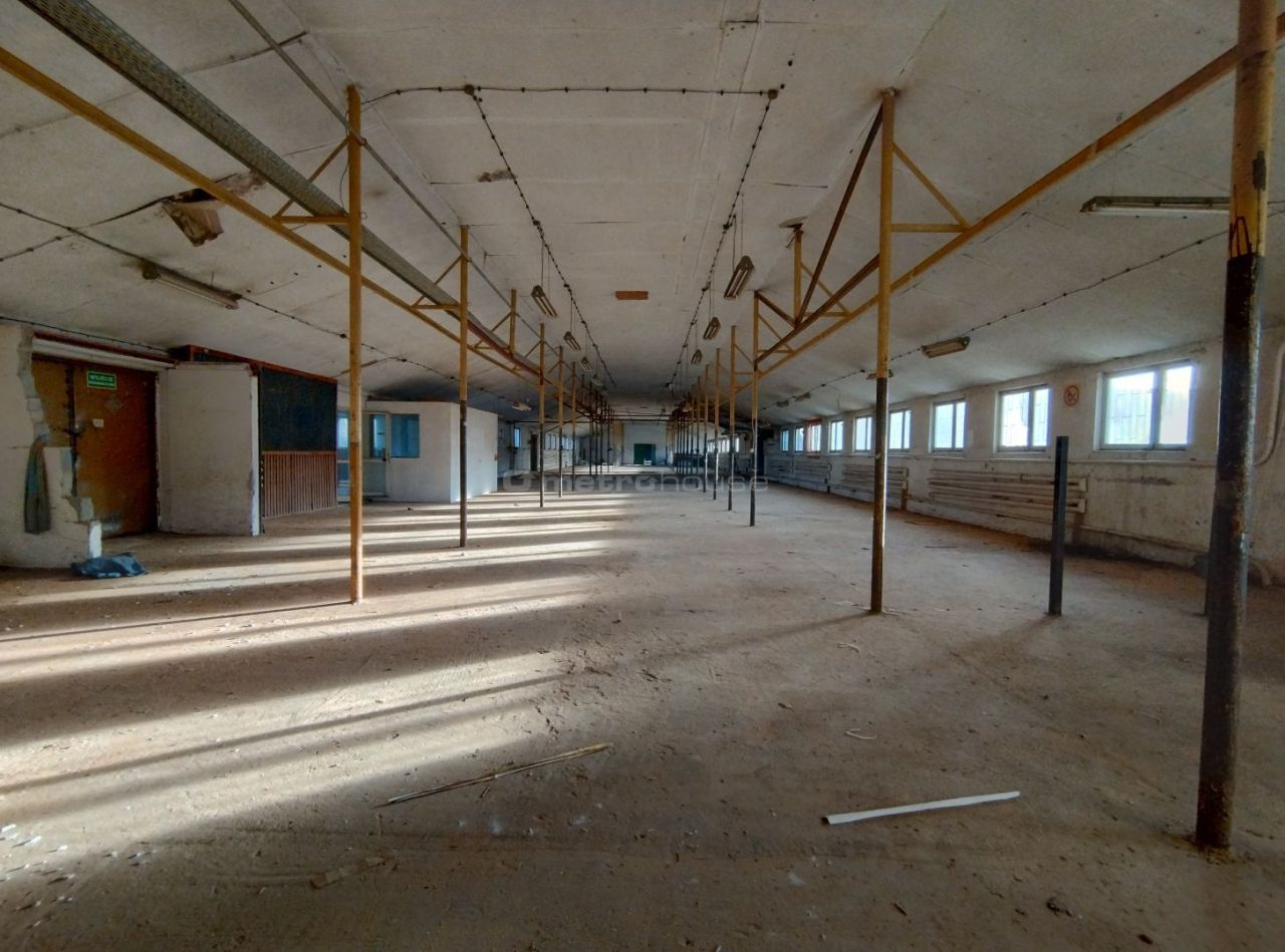 Działka budowlana Brańszczyk. Zdjęcie 14