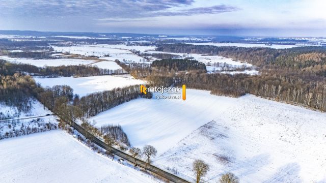Działka rolna Mierzyno. Zdjęcie 6