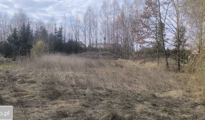 Działka budowlana Terespol, ul. Bolesława Prusa