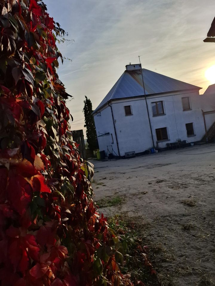 siedlisko, 7 pokoi Piotrówka, ul. Kościuszki. Zdjęcie 4