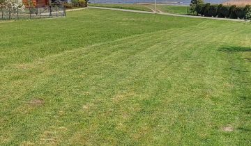 Działka budowlana Łuszczewo, Brak