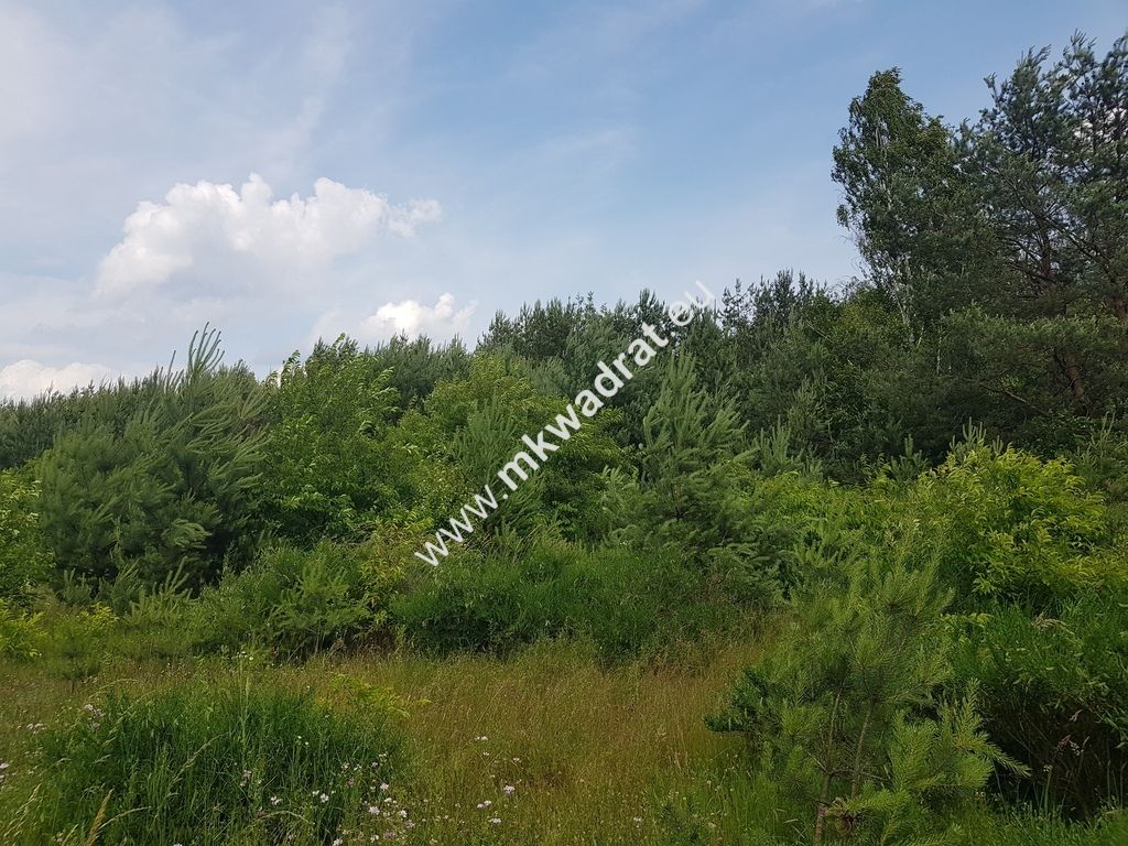 Działka rolna Grzegorzewice, ul. Tarczyńska. Zdjęcie 4