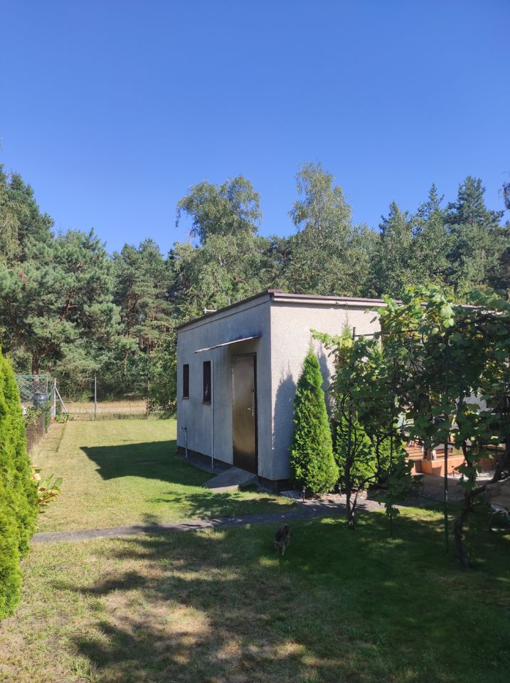 Działka rod Konin, ul. Świętojańska. Zdjęcie 4