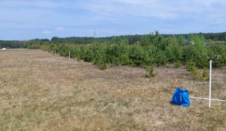 Działka budowlana Kamieńczyk, ul. Poziomkowa