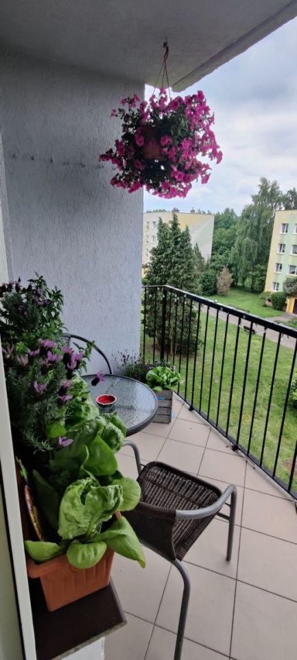 Mieszkanie 2-pokojowe Białogard. Zdjęcie 4