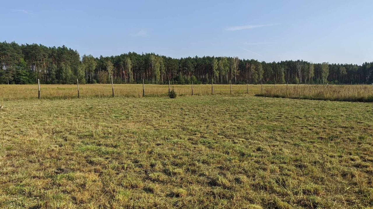 Działka rolno-budowlana Skwirynowo. Zdjęcie 4