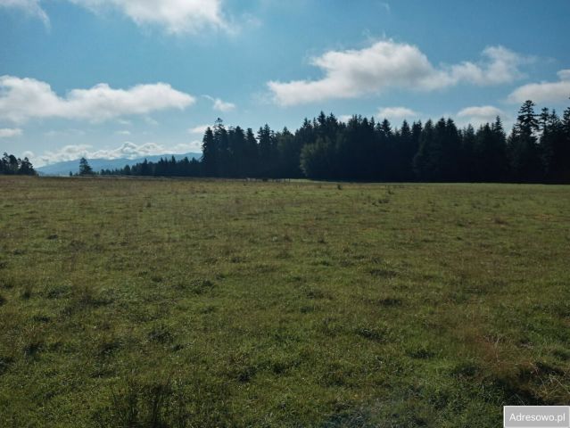 Działka budowlana Rabka-Zdrój, ul. Gilówka. Zdjęcie 1