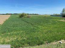 Działka budowlana Brzozowo. Zdjęcie 4