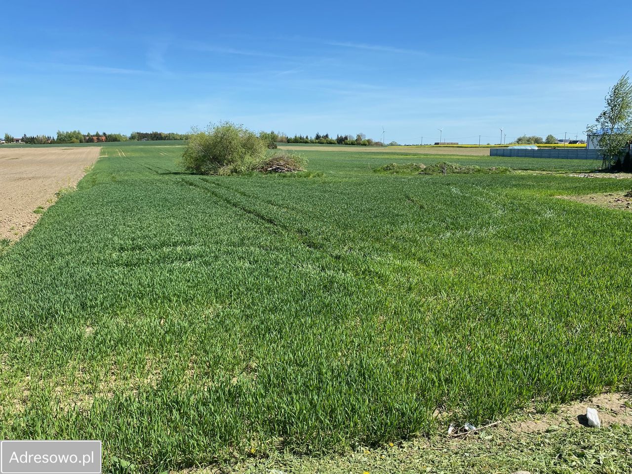 Działka budowlana Brzozowo. Zdjęcie 5