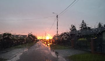 Działka budowlana Wierzbno, ul. Leśna