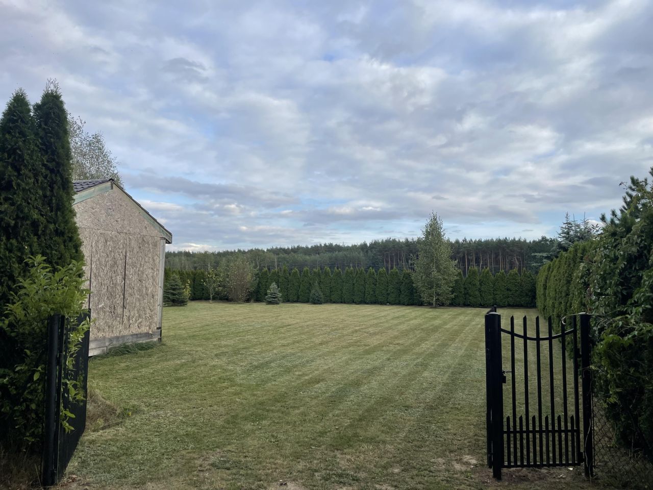 Działka rekreacyjna Krasne. Zdjęcie 4