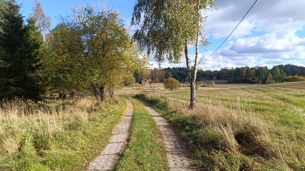 Działka rolna Błotnia. Zdjęcie 6