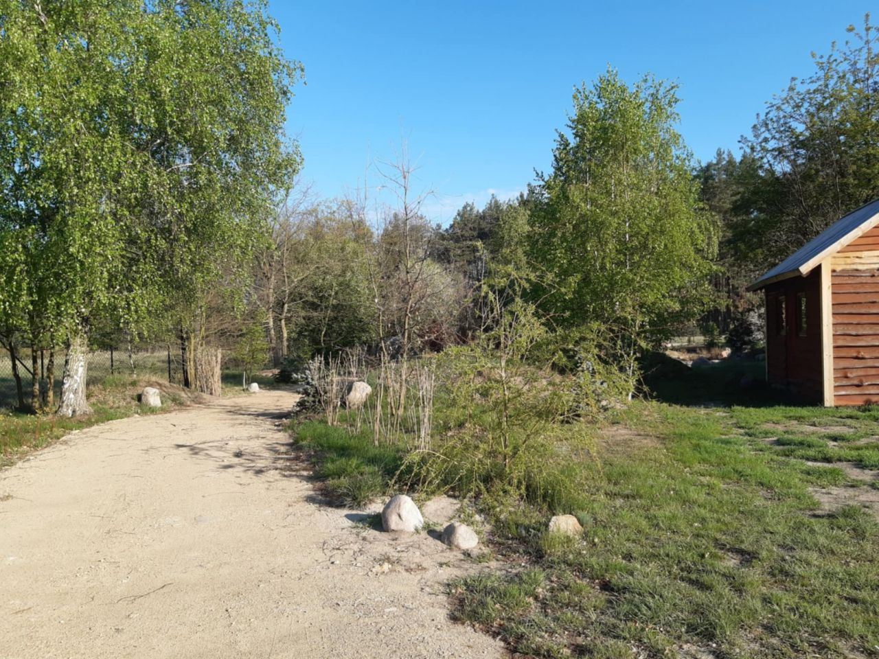 Działka budowlana Podbiel Krupińskie, Sosnowa. Zdjęcie 12