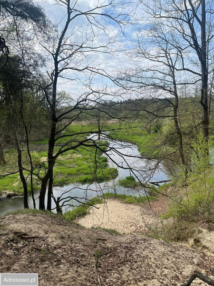 Działka rekreacyjna Joachimów-Mogiły, ul. Jaśminowa. Zdjęcie 11