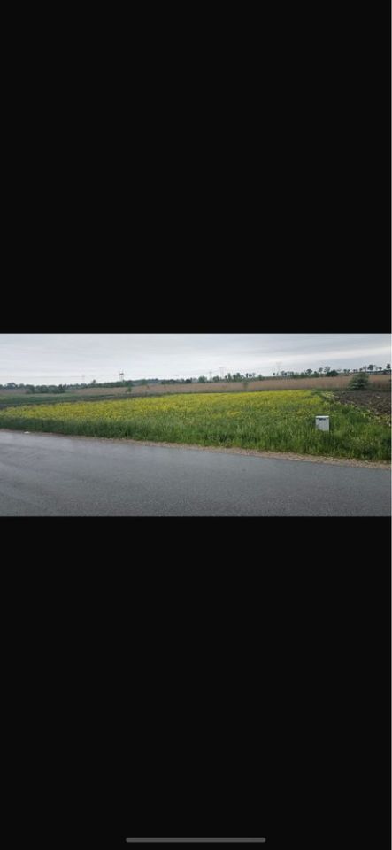 Działka rolno-budowlana Mikołajew. Zdjęcie 3