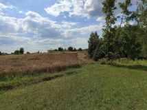 Działka rolna Rąblów. Zdjęcie 3