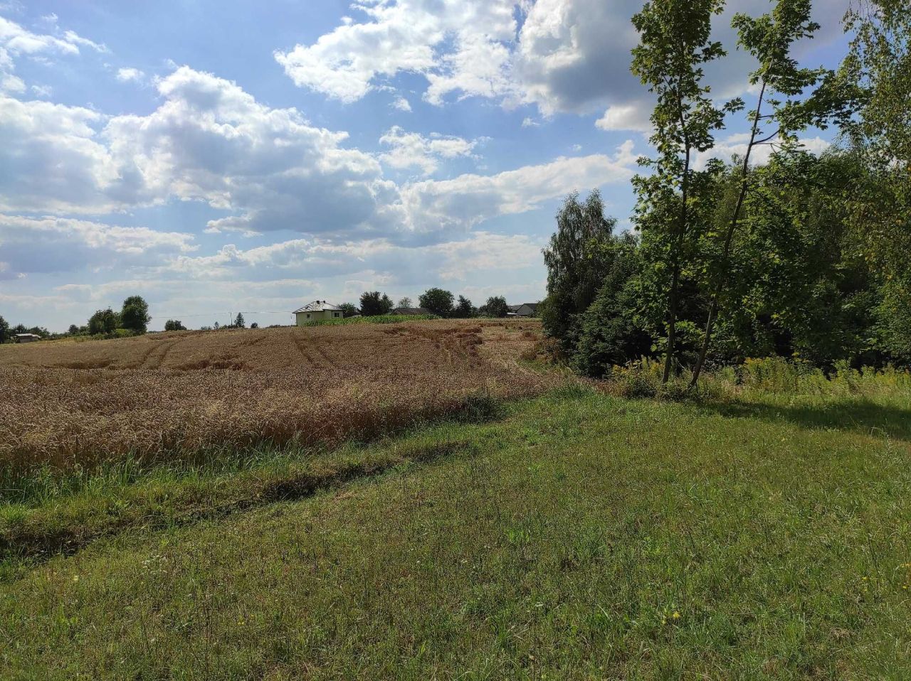Działka rolna Rąblów. Zdjęcie 4